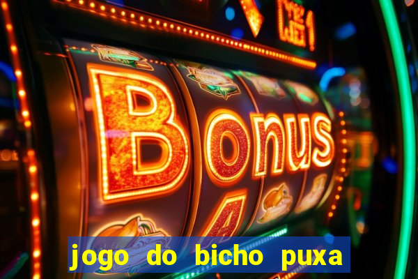 jogo do bicho puxa de dona maria